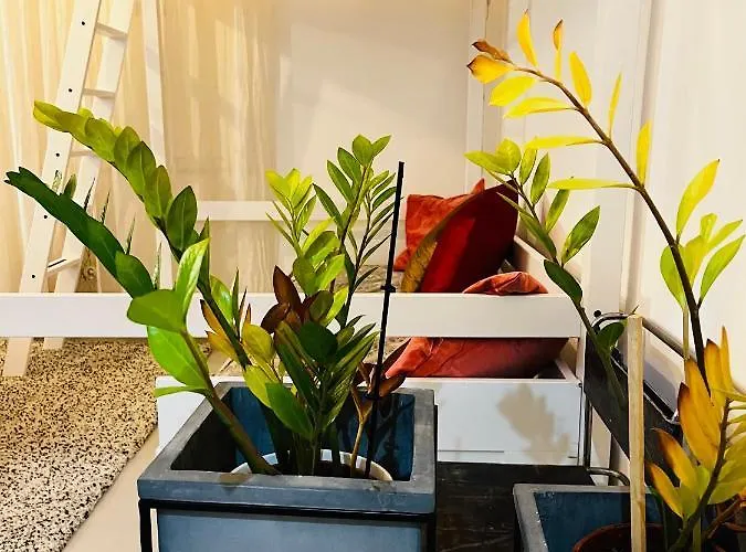 Sweet Life House Cavour Апартаменты